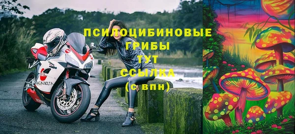 МДМА Протвино