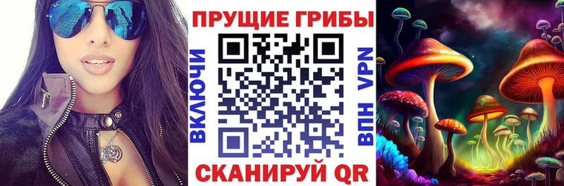 Псилоцибиновые грибы GOLDEN TEACHER  наркота  ОМГ ОМГ как войти  Рыбное 